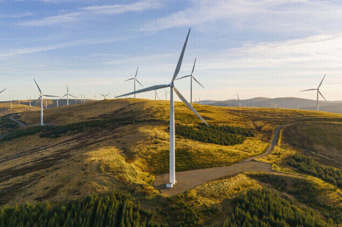 Wind power is not the harmless energy source liberals said it was