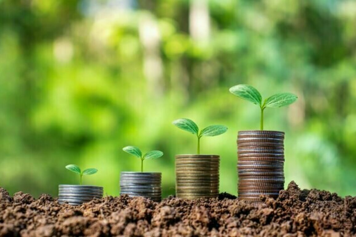 Your essential guide to climate finance