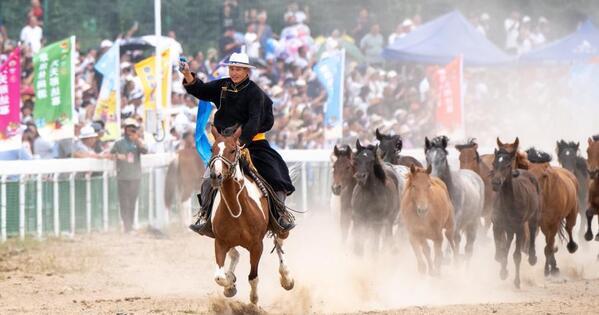Hooves and hopes -- how northwest China is grooming a new generation for booming equine industry