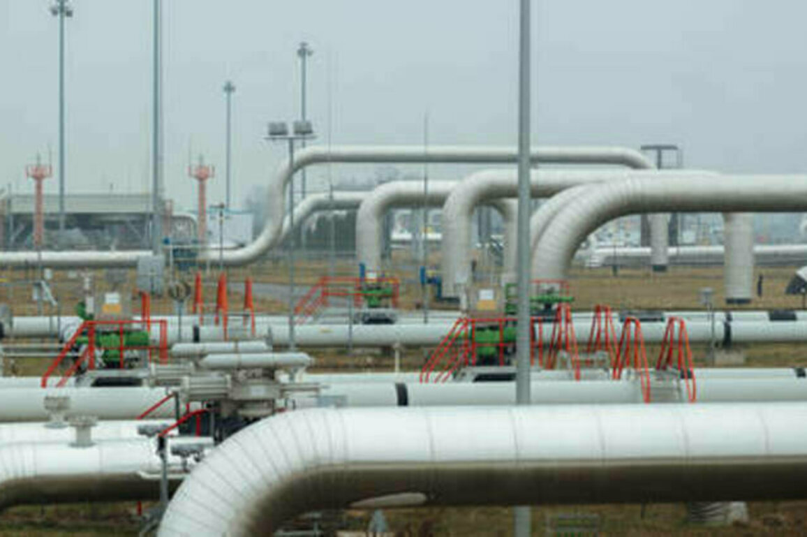 Slovak state gas firm eyes full Russian supply - Bloomberg