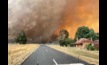  Grants of $75,000 have been announced for fire-affected farmers. Image courtesy DELWP Hume region.