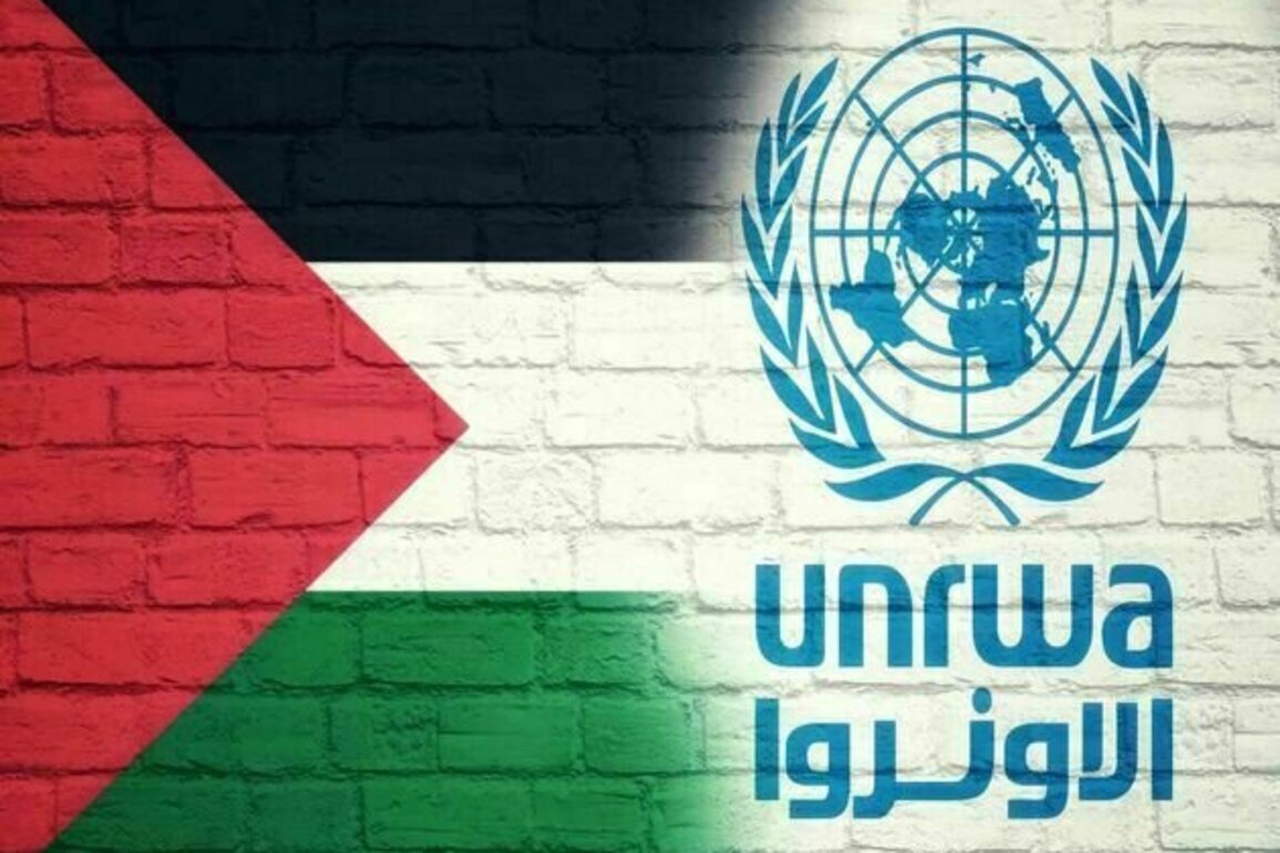 Gaza receives no humanitarian supplies for seven weeks, says UNRWA