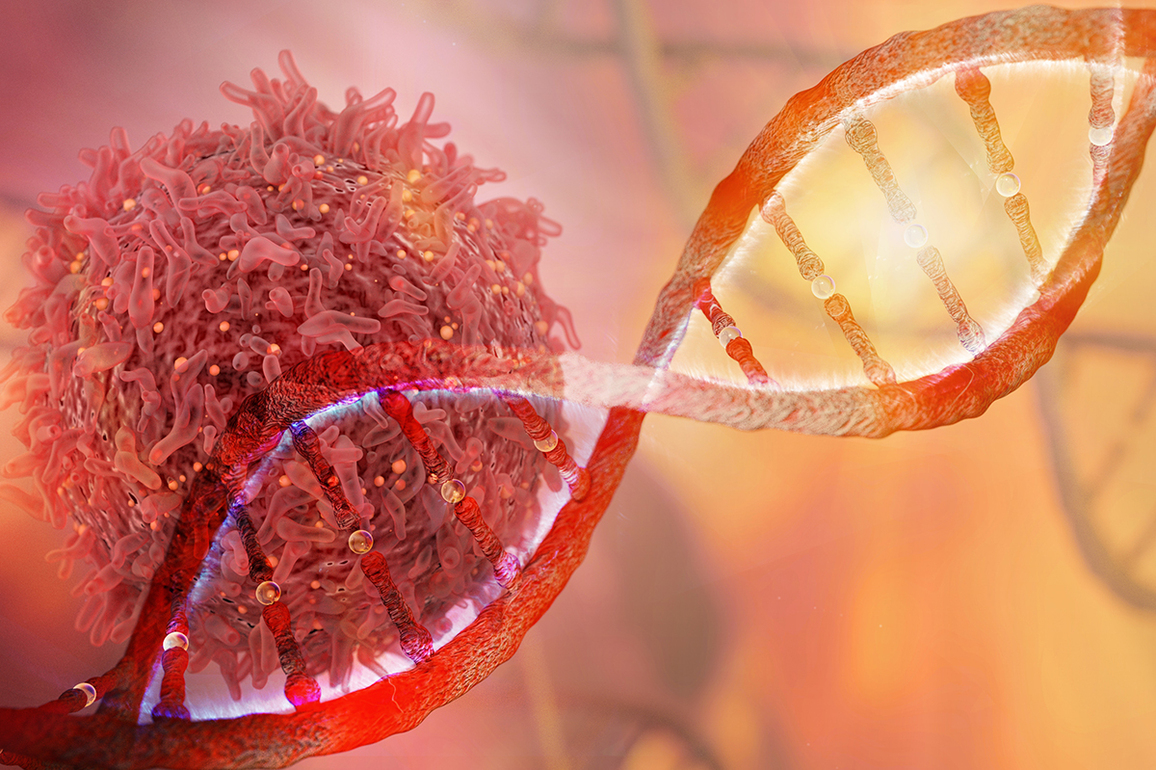 Study sheds light on how inherited cancer mutations drive tumor growth - The Source - WashU