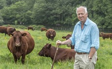 Red Ruby Devons well-suited to future of beef farming