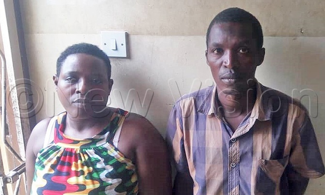 Mother arrested for faking son's kidnap Mother arrested for faking son's kidnap