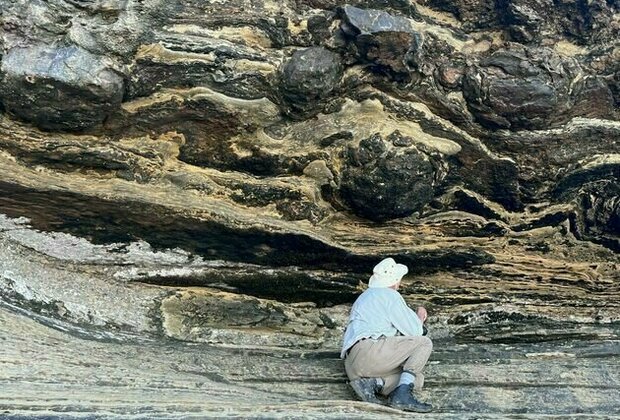 Dinosaur tracks, made 140 million years ago, have been found for the first time in South Africa's Western Cape