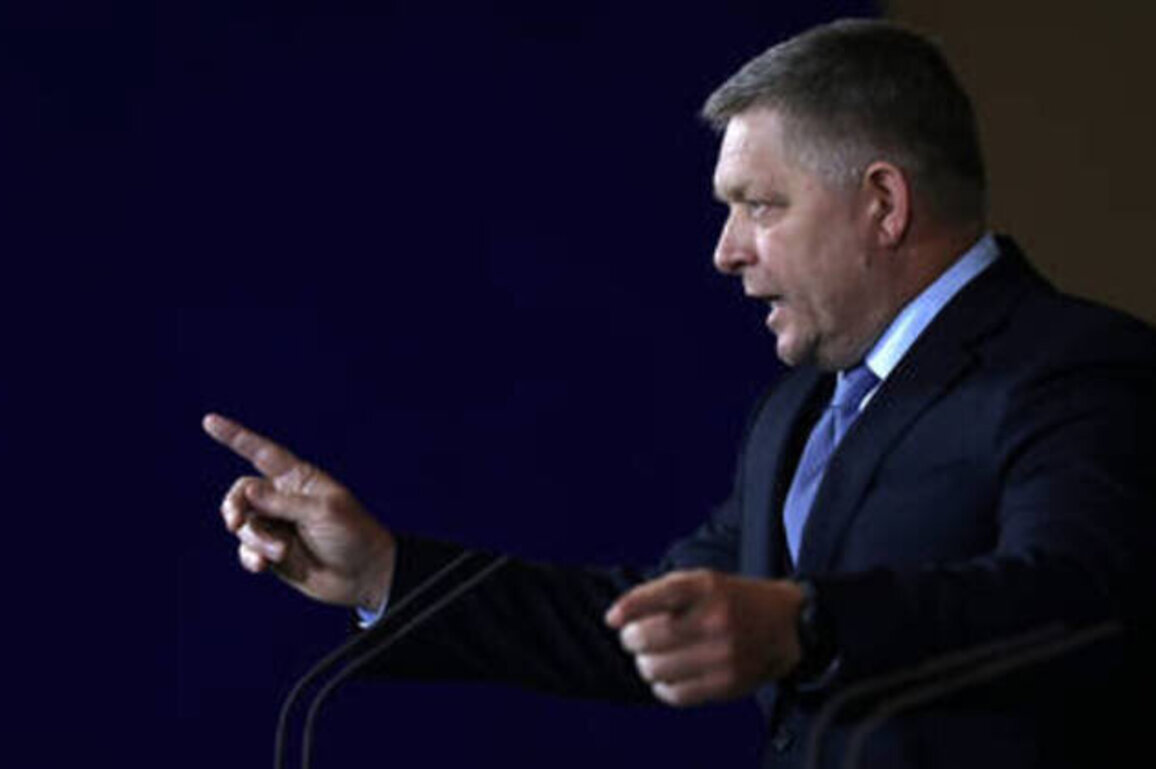 EU 'prolonging the war' with plan to steal Russian assets - Fico