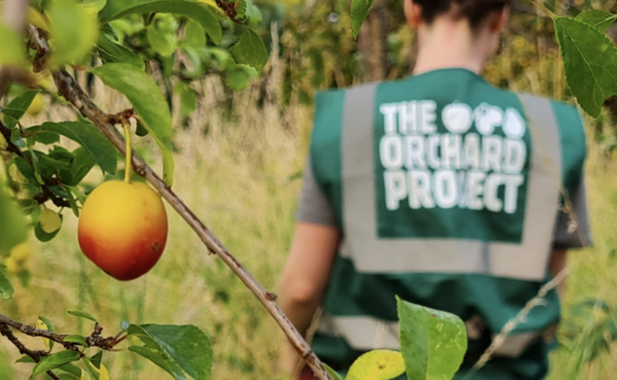 Credit: The Orchard Project 