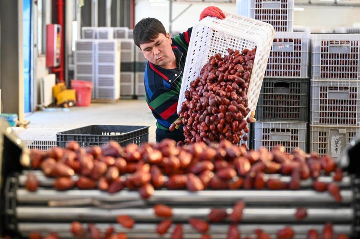 Economy&Life | E-commerce boosts the sales of premium Xinjiang goods before Spring Festival