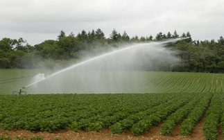 How are farmers coming together to better manage water resources?