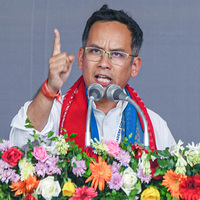 Gaurav Gogoi condemns elephants' death in Assam, raises alarm of growing challenge of human-animal conflict
