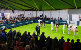 Royal Ulster Winter Fair to go ahead despite ongoing bluetongue investigations