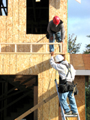 'Unprecedented' price rises ahead for wood