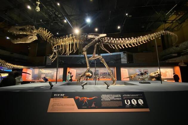 "King of Dinosaurs" visiting Beijing in historic Chinese mainland debut