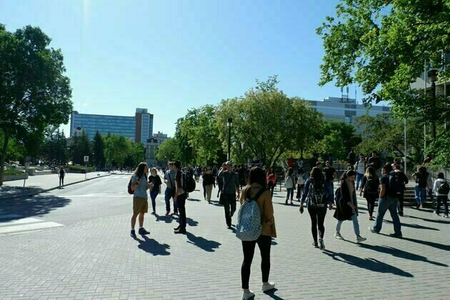 Why international students could be a critical factor in bolstering Canada's economic resilience
