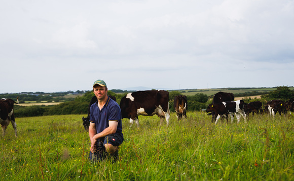 Pembrokeshire dairy farmer adopts regen methods to boost farm finances