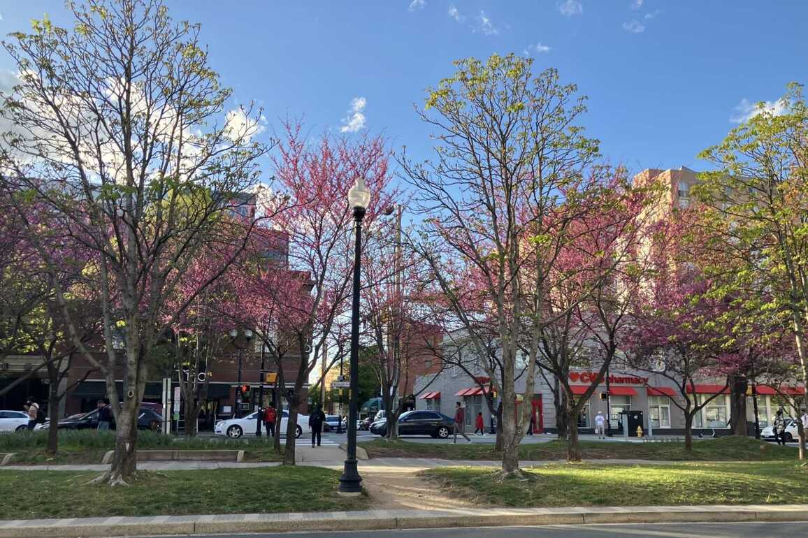 Morning Notes for April 17, 2025