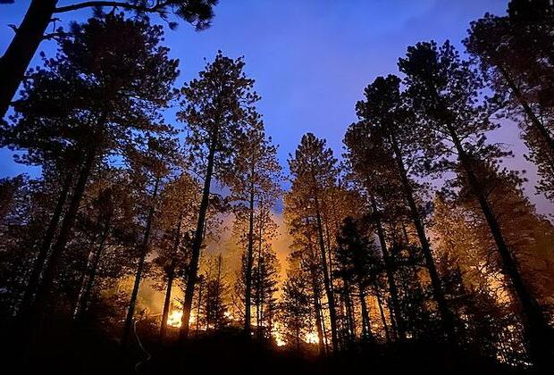 Firefighters battle wildfires in Catania, Sicily