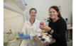 DPIRD technical officer Hannah Hughes (left) and project officer Elisha Cassidy are ready to assess grain samples for phosphine resistance as part of a national surveillance program. Picture courtesy DPIRD.