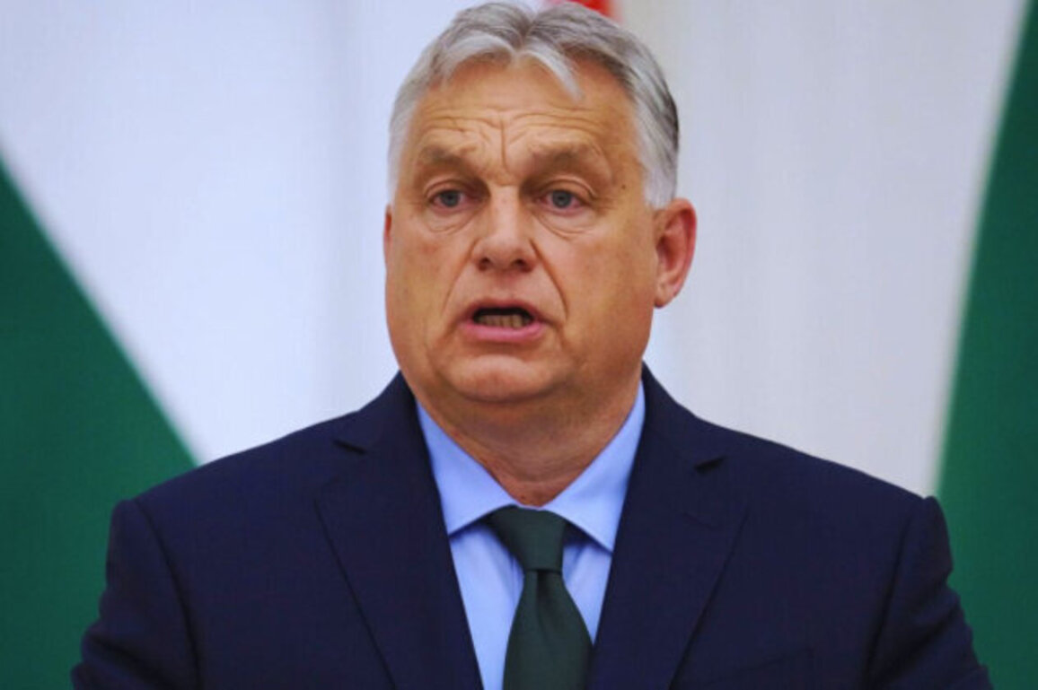 Hungary Votes This Year: Signs That Orbans Long Rule May Be Ending