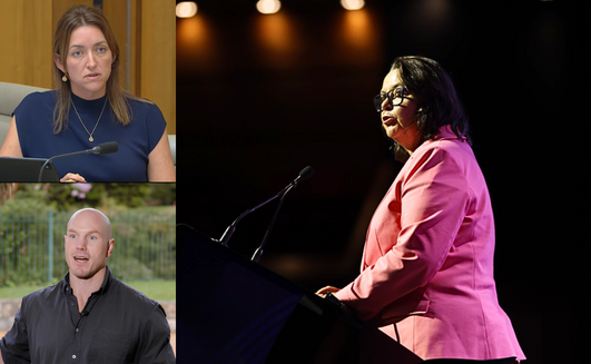 Opposition politicians hit back at Madeleine King's critique of gas tax