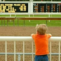 'Do something about it before it gets worse': young people want government action on gambling reform