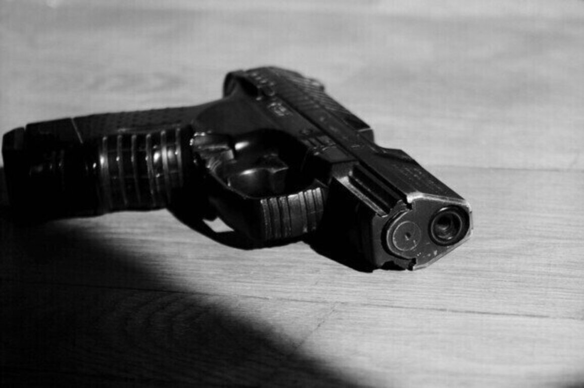 AfD supporters gun rights secretly curbed by German state  media