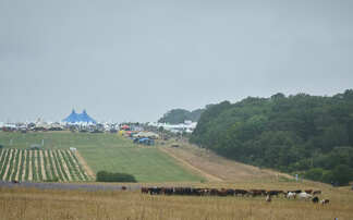 Groundswell 2025: Is grazing livestock key to soil health?