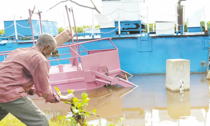 Water hyacinth threatens to choke L. Victoria again Water hyacinth threatens to choke L. Victoria again
