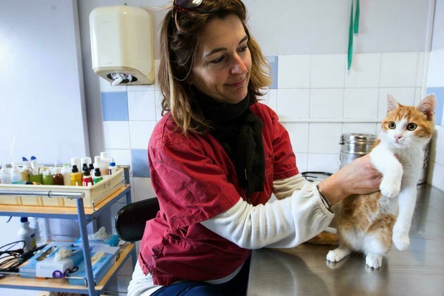 World Animal Day: Macron announces more funding for animal shelters