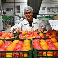 China's zero-tariff policy opens wider door for Egyptian citrus exports
