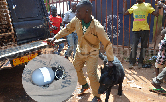 Poliisi ekola ku bbomu ng'ekozesa embwa ezaayazizza ebintu by'abawala oluvannyuma lw'omuserikale eyakwatiddwa n'akakebe ka ttiyaggaasi (mu katono) okudduka. EKIF: HANNINGTON NKALUBO Poliisi ekola ku bbomu ng'ekozesa embwa ezaayazizza ebintu by'abawala oluvannyuma lw'omuserikale eyakwatiddwa n'akakebe ka ttiyaggaasi (mu katono) okudduka. EKIF: HANNINGTON NKALUBO