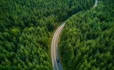 Industry Voice: Multi asset - winning is mainly about not losing