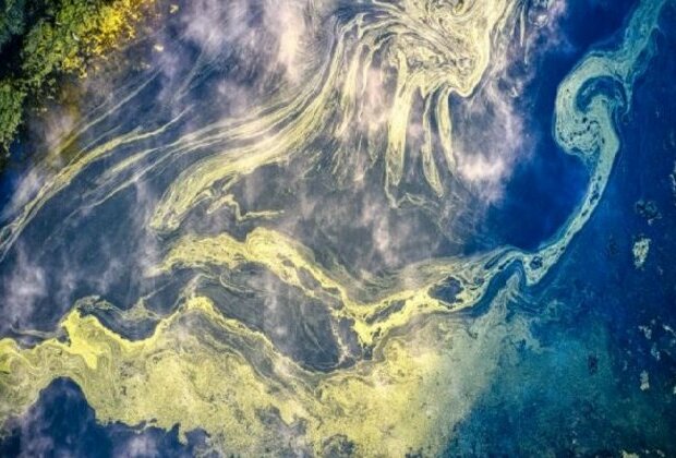 Study: Climate change could impact algae in global ocean