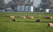  Agriculture Victoria has released an on line survey for biosecurity. 