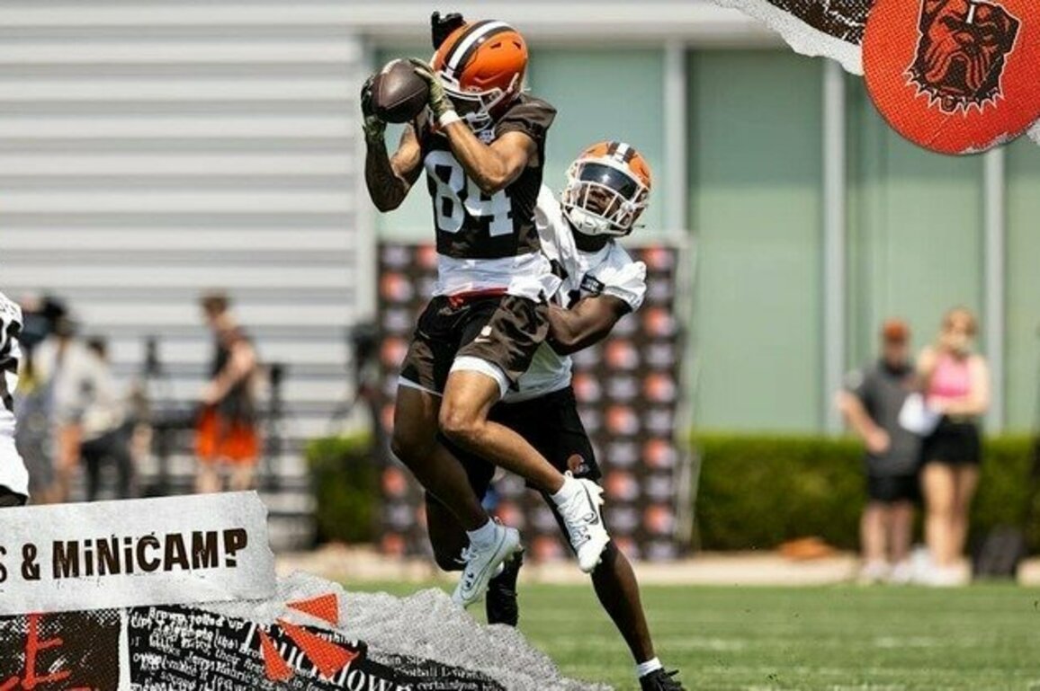 Observations from Day 2 of minicamp | OTAs & Minicamp