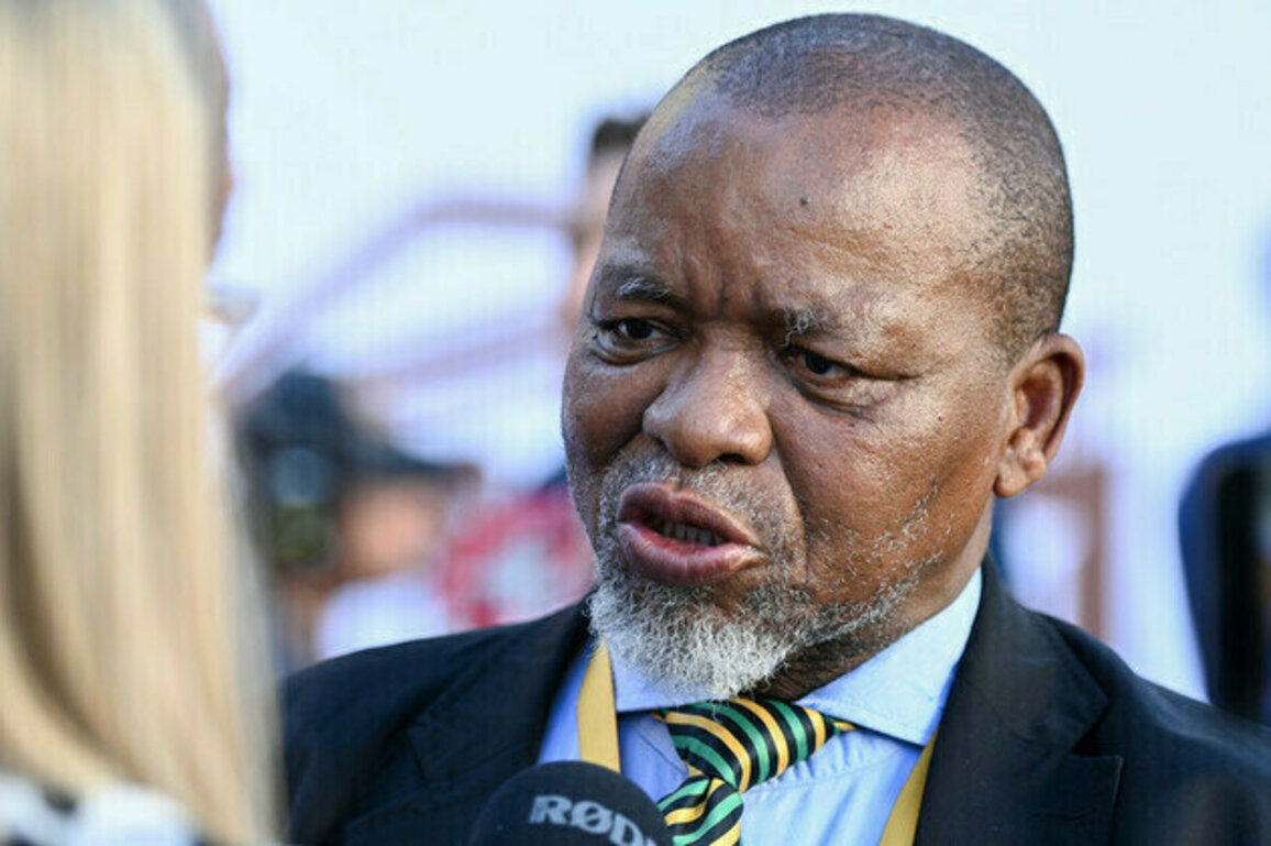 South Africa rejects industry push to favor US in mineral trade