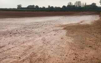 Farms hit by more than 100mm of rainfall over the past 24 hours