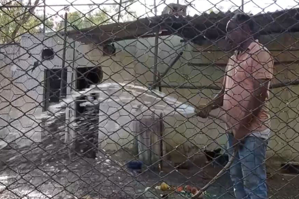 Special arrangements at Bathinda zoo to protect wildlife from rising heat