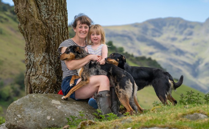 Traditional way of farming in the Lake District provides perfect balance for nature and food production