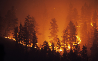 Wildfires have prompted insurers to increase premiums | Credit: iStock