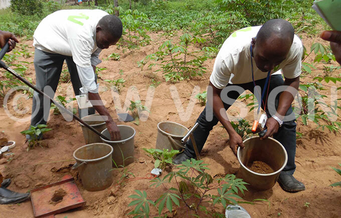  tephen wesiga a biophysical technician taking soil samples in akasongola 