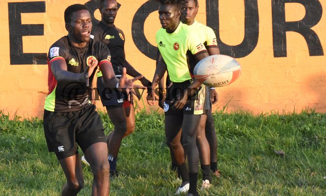 Rugby Cranes calls off Zimbabwe trip Rugby Cranes calls off Zimbabwe trip