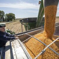 Feature: Iowa farmers see "person-to-person diplomacy" as key to U.S.-China trade ties