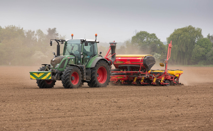 Growers must dig deep to find moisture for maize