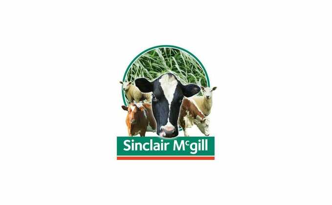 Sinclair Mcgill Checklist