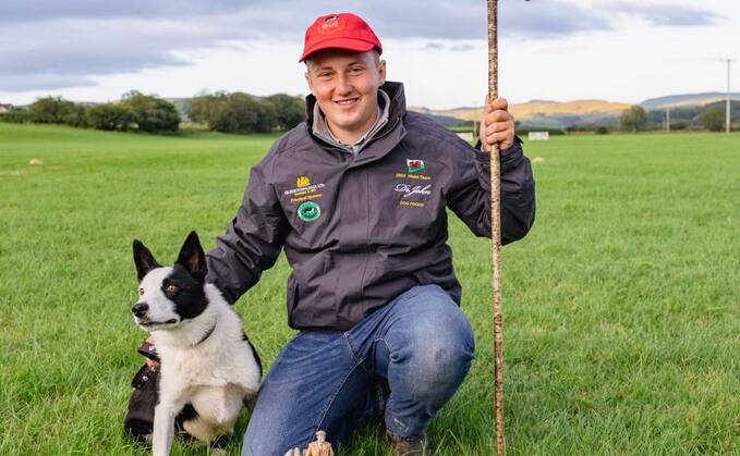 Young Dog Handler Focus - Jack Howells: "I love working the dogs on the hill, despite it being a tough place"