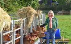 In your field: Helen Stanier - 'At this point they decided that their midnight snacking wasn't over'