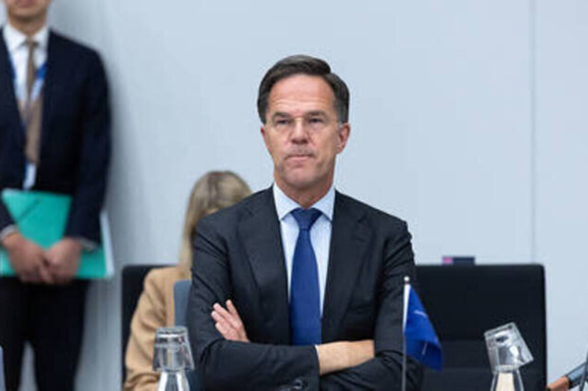 NATO chief likened to 'McDonald's employee of the month'