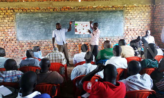 Soroti farmers trained to control army worm Soroti farmers trained to control army worm